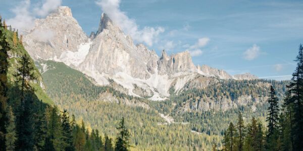 Forêt dans les Alpes