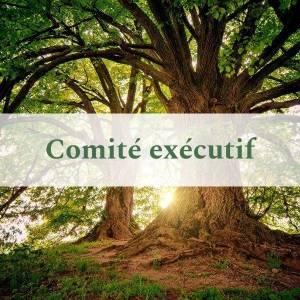 Comité exécutif