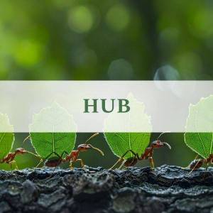 HUB sous-rubrique