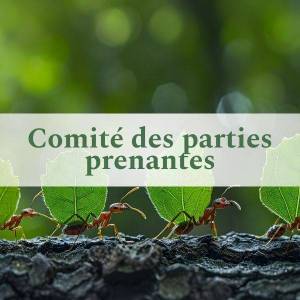 Comité des parties prenantes