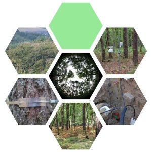 OPTMix élément graphique