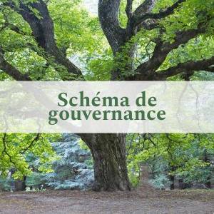 Schéma de gouvernance