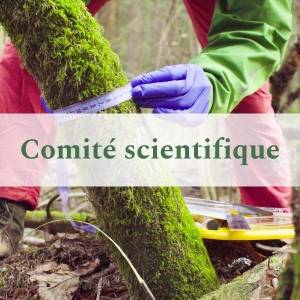 Comité scientifique