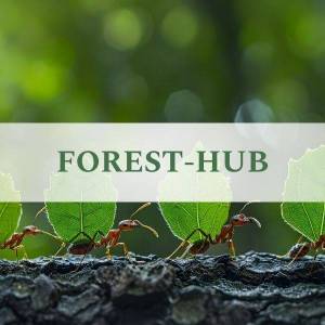 HUB